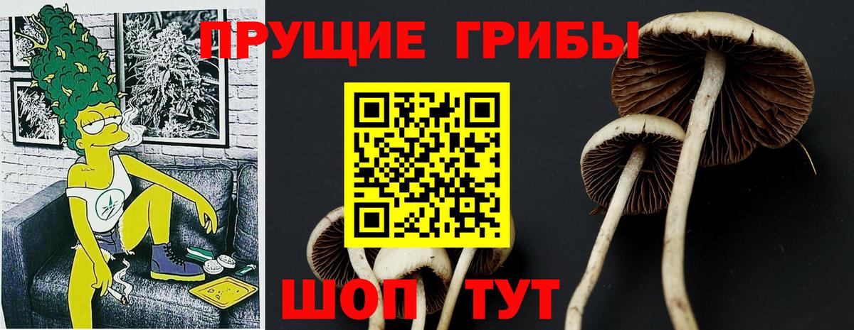Ижевск  Псилоцибиновые грибы MAGIC MUSHROOMS  Вход с VPN 